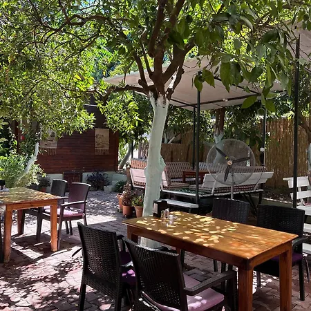 Bed & Breakfast Safir