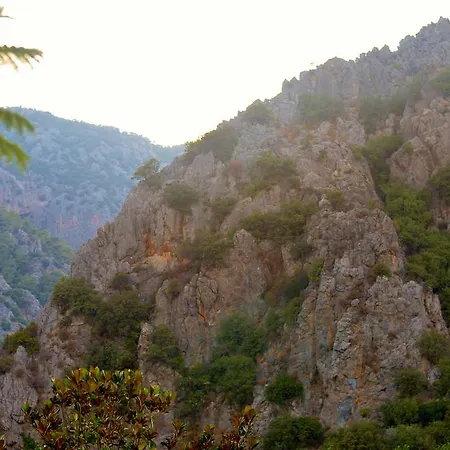 Safir Cirali