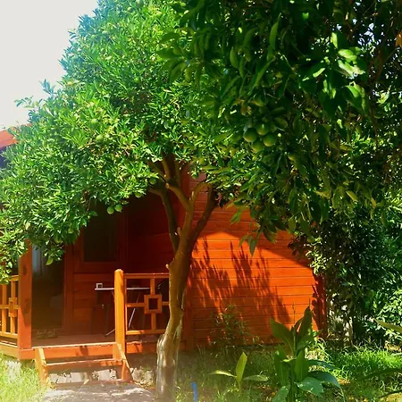 Bed & Breakfast Safir *