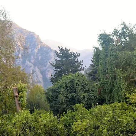 Frühstückspension Safir Çıralı