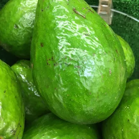 Frühstückspension Safir